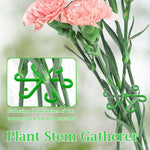 HASTHIP Plant Climbers for Indoor and Outdoor Use featuring 6-Claw Stem Holders 4 Pack | Plastic Support Rings for Climbing Plants