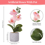 HASTHIP Artificial Orchid Plant for Home Decor with 28 cm Cement Pot featuring Soft Rubber Petals