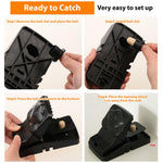 HASTHIP Rat Traps for House and Garden with Ultra Fast Trigger | 4Pcs 17×7.5×7.5cm Reusable ABS