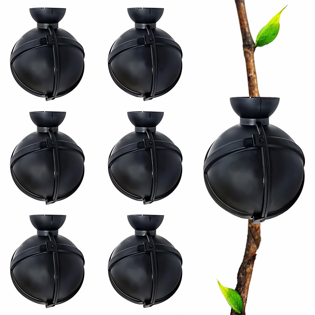 HASTHIP Plant Rooting Ball for Easy Propagation with 6-Pack 8cm Reusable PP Pods | Indoor and Outdoor Gardening