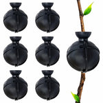 HASTHIP Plant Rooting Ball for Easy Propagation with 6-Pack 8cm Reusable PP Pods | Indoor and Outdoor Gardening