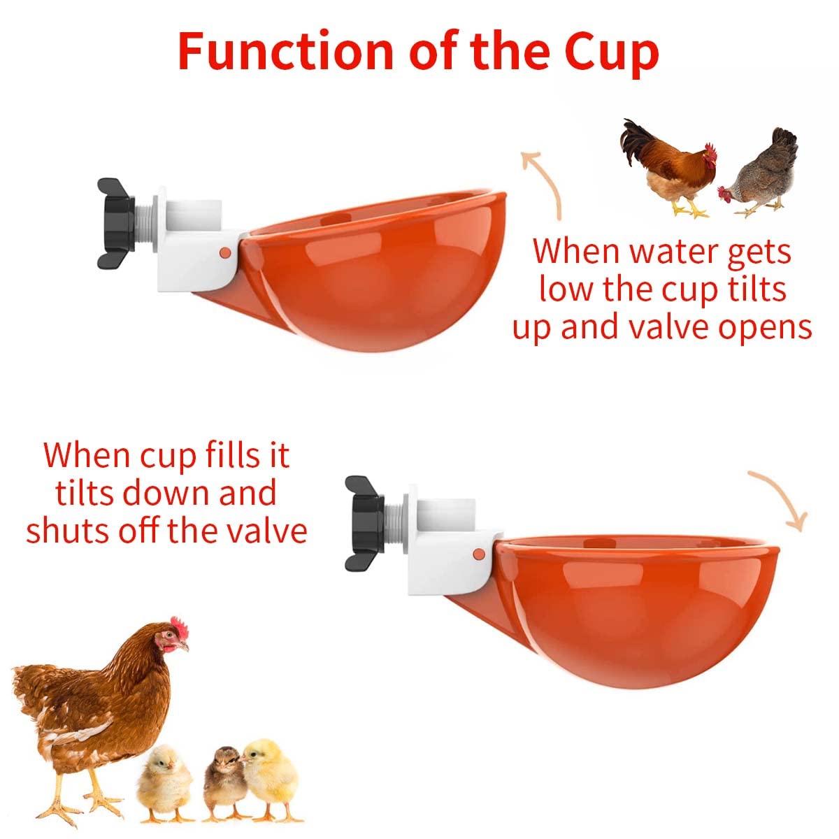 HASTHIP Chicken Drinking Cup for Barrel Feeders with Auto Refill Mechanism Set of 5 | Plastic Poultry Waterer
