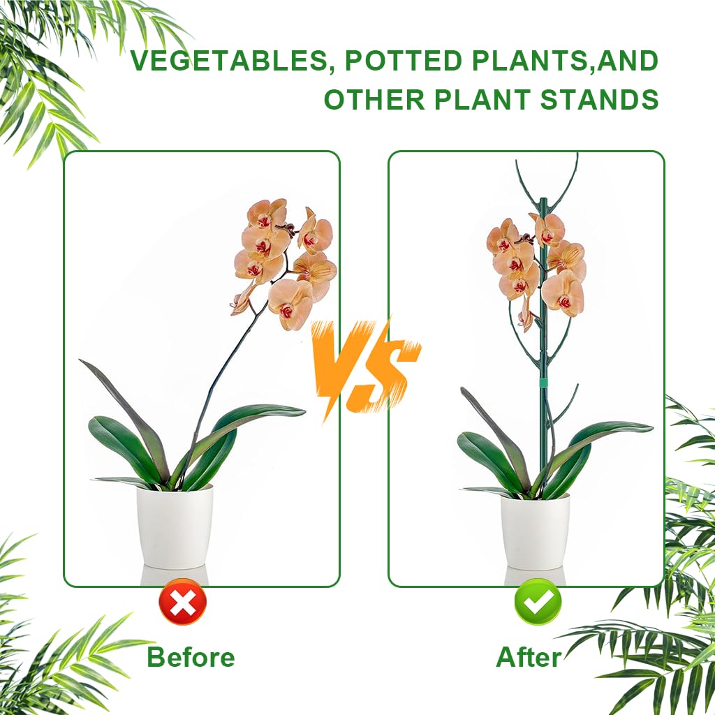 HASTHIP Plant Support Kit for Planters with 10 Frames and 11 in Stakes | Adjustable Circular Design