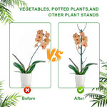 HASTHIP Plant Support Kit for Planters with 10 Frames and 11 in Stakes | Adjustable Circular Design