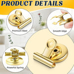 HASTHIP Magnetic Clips for Fridge and Whiteboard with Strong Magnet 10Pcs Golden Metal Set