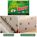 HASTHIP Fly Sticky Trap for Indoor and Greenhouse Use featuring Double Sided Adhesive 20 pcs 25x18.5 cm | Pesticide Free Safe Design