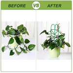 HASTHIP Plant Trellis for Climbing Plants with Connectable Design 6Pcs 10x35cm | Leaf Pattern Support