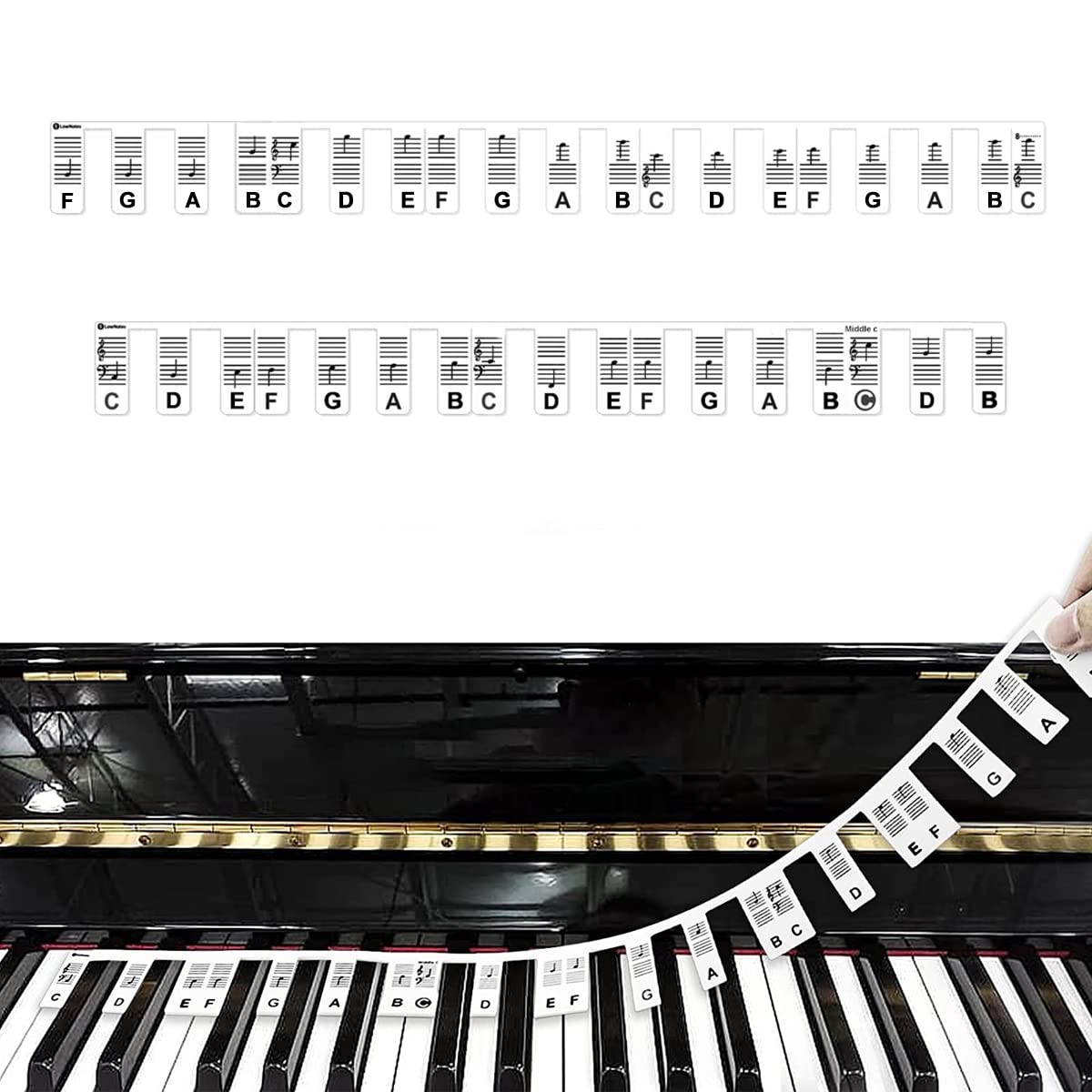 HASTHIP Piano Stickers for 61 Keys with Removable Silicone Design | Learning Aid for Beginners