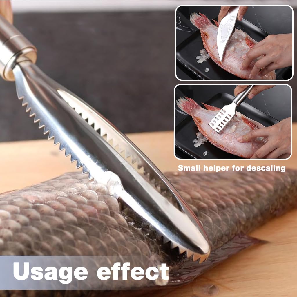 HASTHIP Fish Scaler Set for Easy Fish Cleaning featuring 3 PCS Ergonomic Handle Tools | 304 Stainless Steel