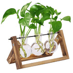 HASTHIP Heart Shaped Hydroponic Glass Vase 2 Pack with Wooden Stand for Home Decor | Gift for Plant Lovers