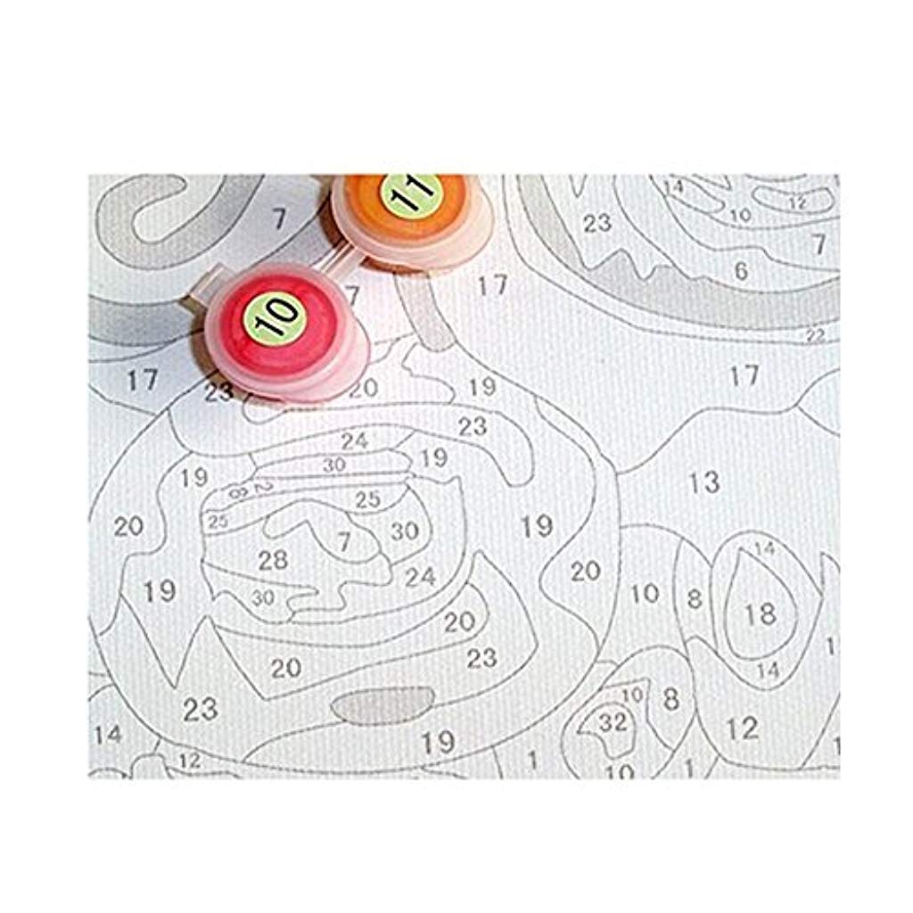 HASTHIP Paint by Numbers Kit for Kids and Adults with Brushes 16×20 in Canvas | Gift Idea