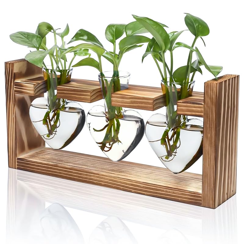 HASTHIP Hydroponic Glass Vase Kit for Desktop Decor with 3 Heart Planters & Wooden Stand