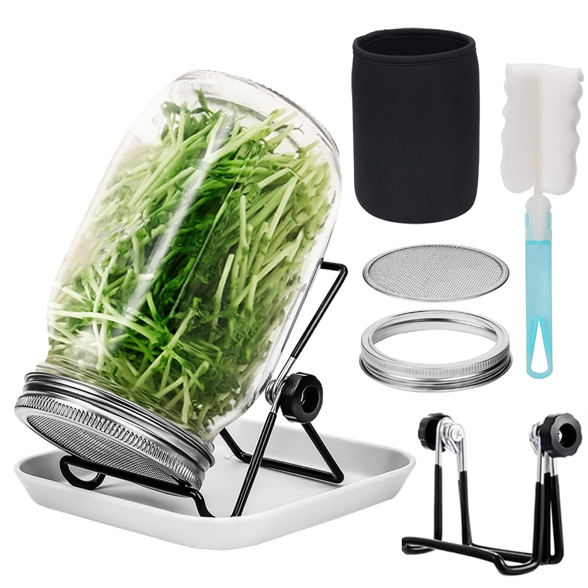 HASTHIP Seed Sprouting Jar for Kitchen Growing with 32oz Glass Jar & Stainless Steel Mesh Lid | Includes Shading Sleeve and Stand
