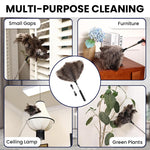 HASTHIP Ostrich Feather Duster for Ceiling Fans and Furniture 1.5m Extendable Handle with Stainless Steel Telescopic Design