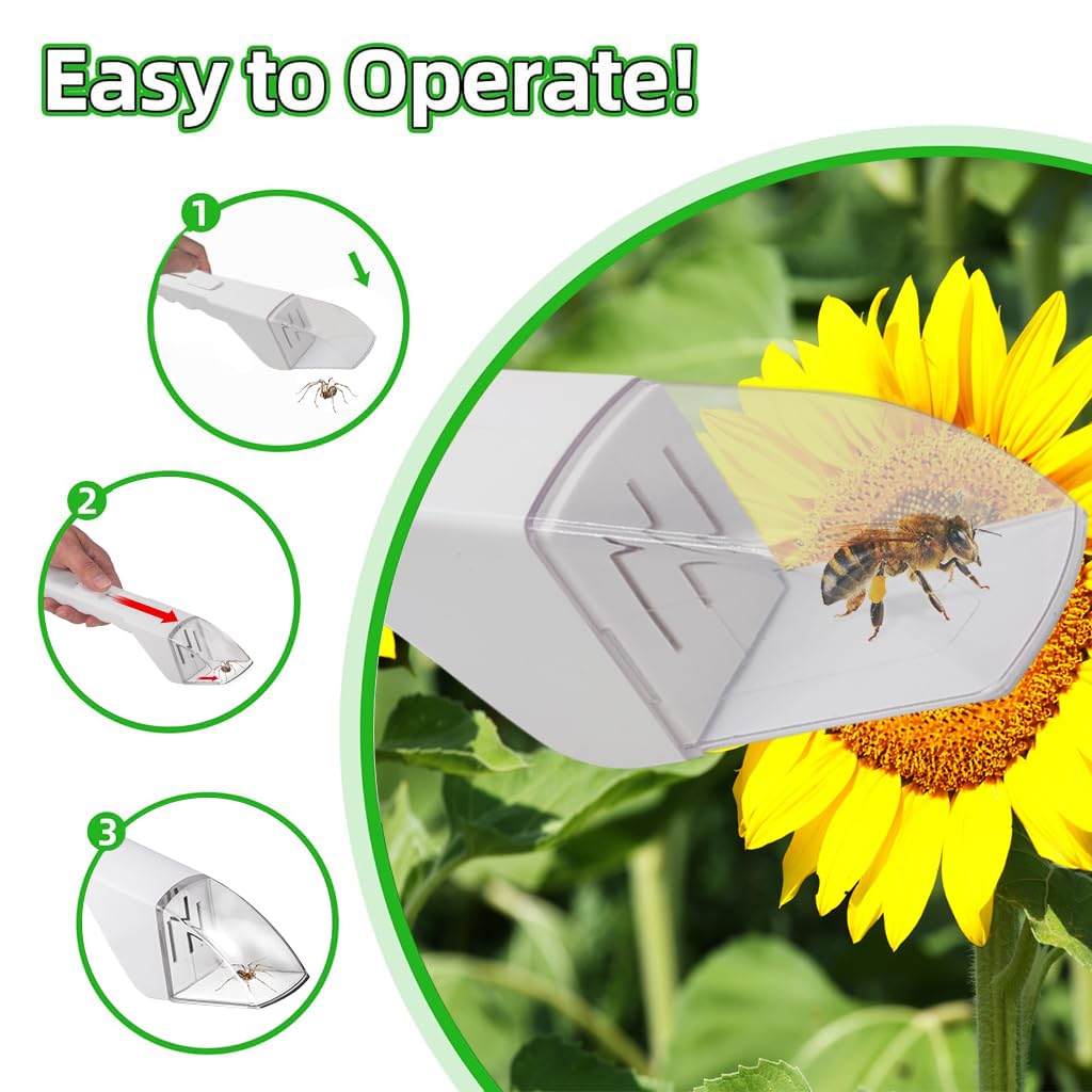 HASTHIP Humane Insect Catcher Tool for Outdoor Exploration with Quick Release Button | Fun Learning for Kids and Adults