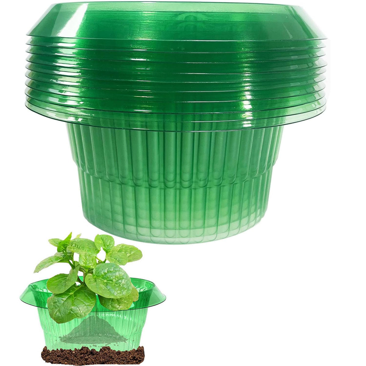 HASTHIP® Planter Slug Collar