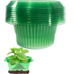 HASTHIP® Planter Slug Collar