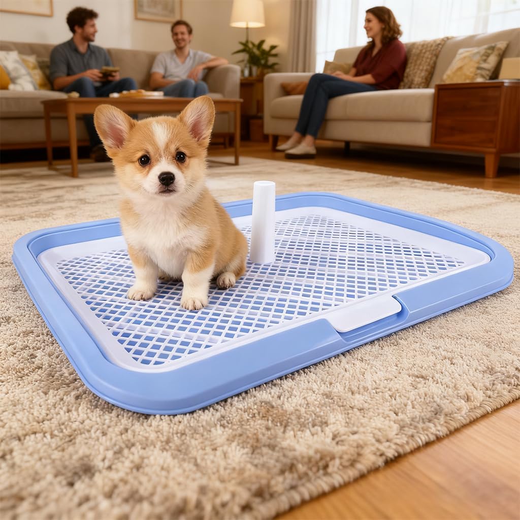 HASTHIP Dog Toilet for Small and Medium Dogs featuring Removable Mesh Grate 65 x 50 cm | Easy Cleanup