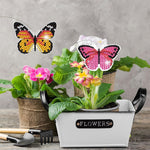 HASTHIP® Diamond Painting Kit, 18x12x2cm Butterfly Diamond Painting Kits, 5D Diamond Painting Kit for Adults & Kids, Suitable for Flower Pots, Green Pots, Home Leisure and Wall Decoration