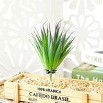 HASTHIP Artificial Plants for Home Decor with 9Pcs PVC Flocked Succulents | Indoor and Outdoor Decorations