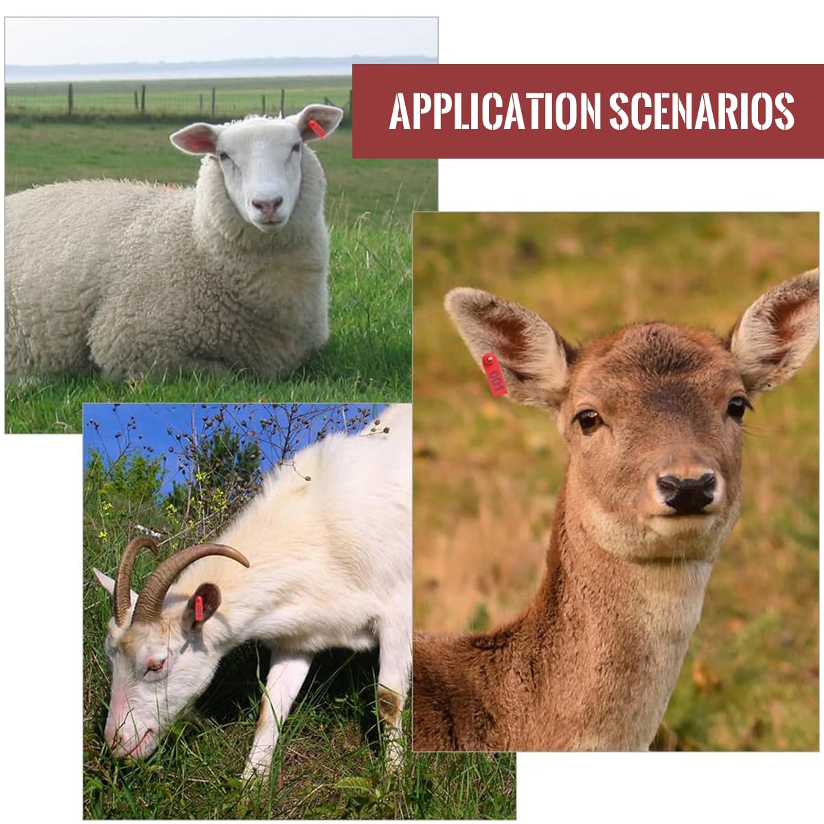 HASTHIP Livestock Ear Tag Applicator Set for Cattle and Sheep with 100 Numbered Tags | Red Plastic Farming Tool