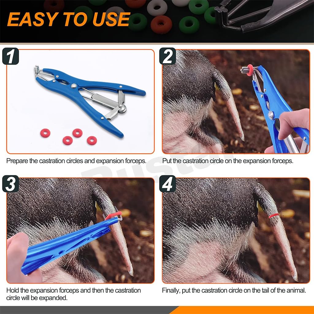 HASTHIP Livestock Castration Bander with 100 Castrator Rings featuring Metal Frame & Plastic Handles for Lambs and Piglets | 21.5cm Tail Docking Tool