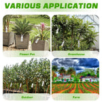HASTHIP Plant Labels for Garden Organization with Open Loops 100 Count 2.4x11 cm PVC Tags