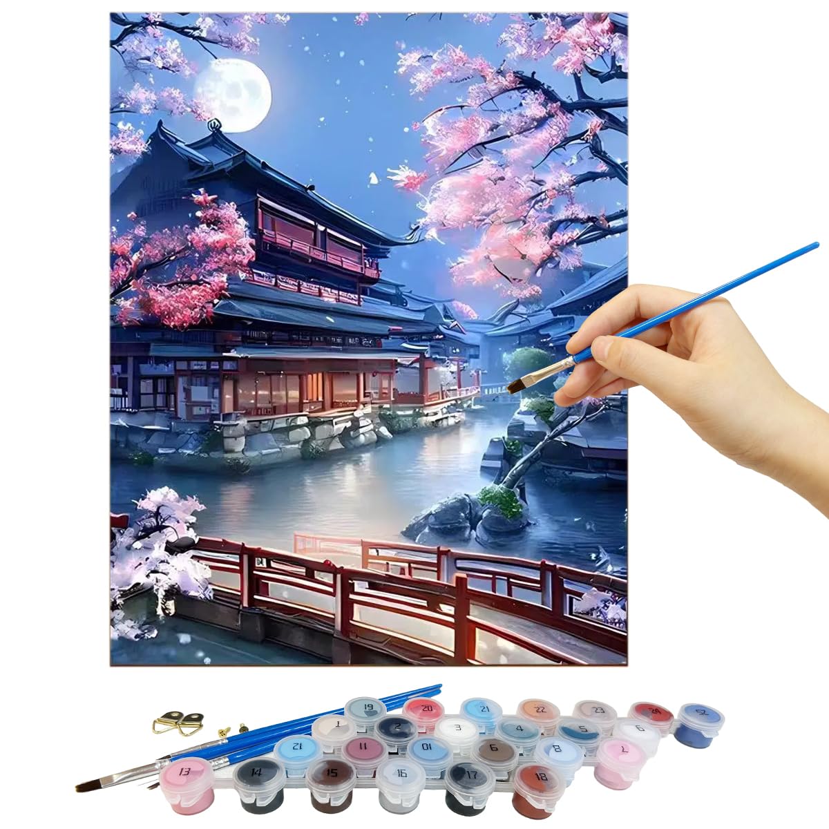 HASTHIP Paint by Number for Adults with Brushes and Acrylic Colors 40 x 50cm Canvas | DIY Wall Art Kit
