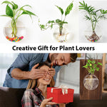 HASTHIP Glass Hydroponic Kit for Home Decor with Wooden Board and Hemp Rope | 18x33cm Wall Hanging Planter