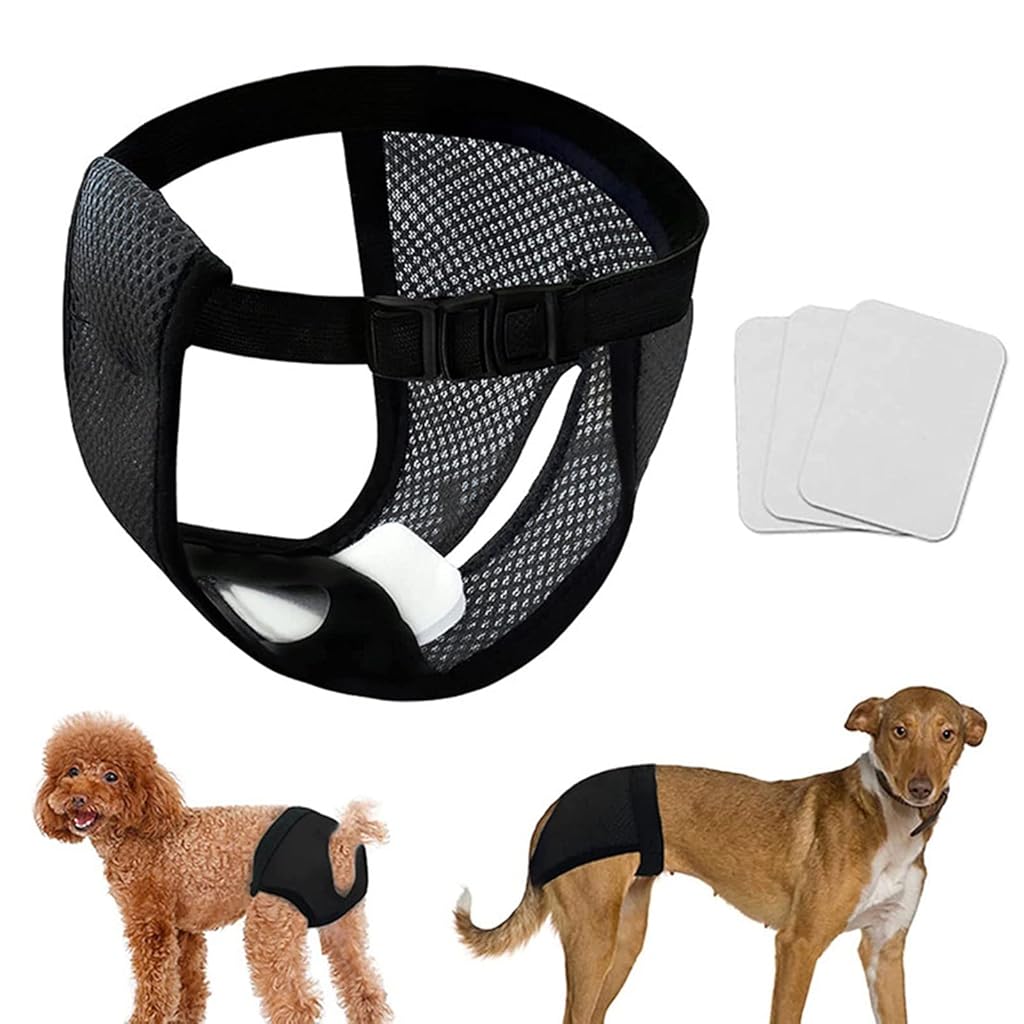 HASTHIP® Pañales Reutilizables para Perros Hembra Lavables y Transpirables con 3 Almohadillas de Algodón Absorbentes,Ajuste Elástico y Hebilla Rápida,Protector de Incontinencia Época