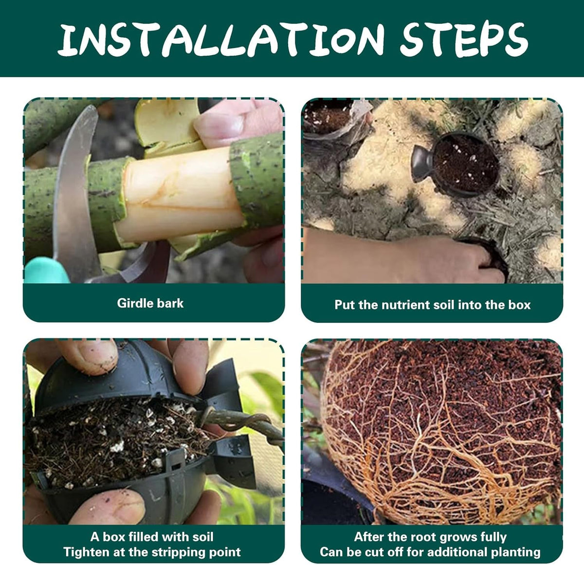 HASTHIP Plant Rooting Ball for Air Layering and Cloning | 6-Pack Reusable Pods for Garden Growth