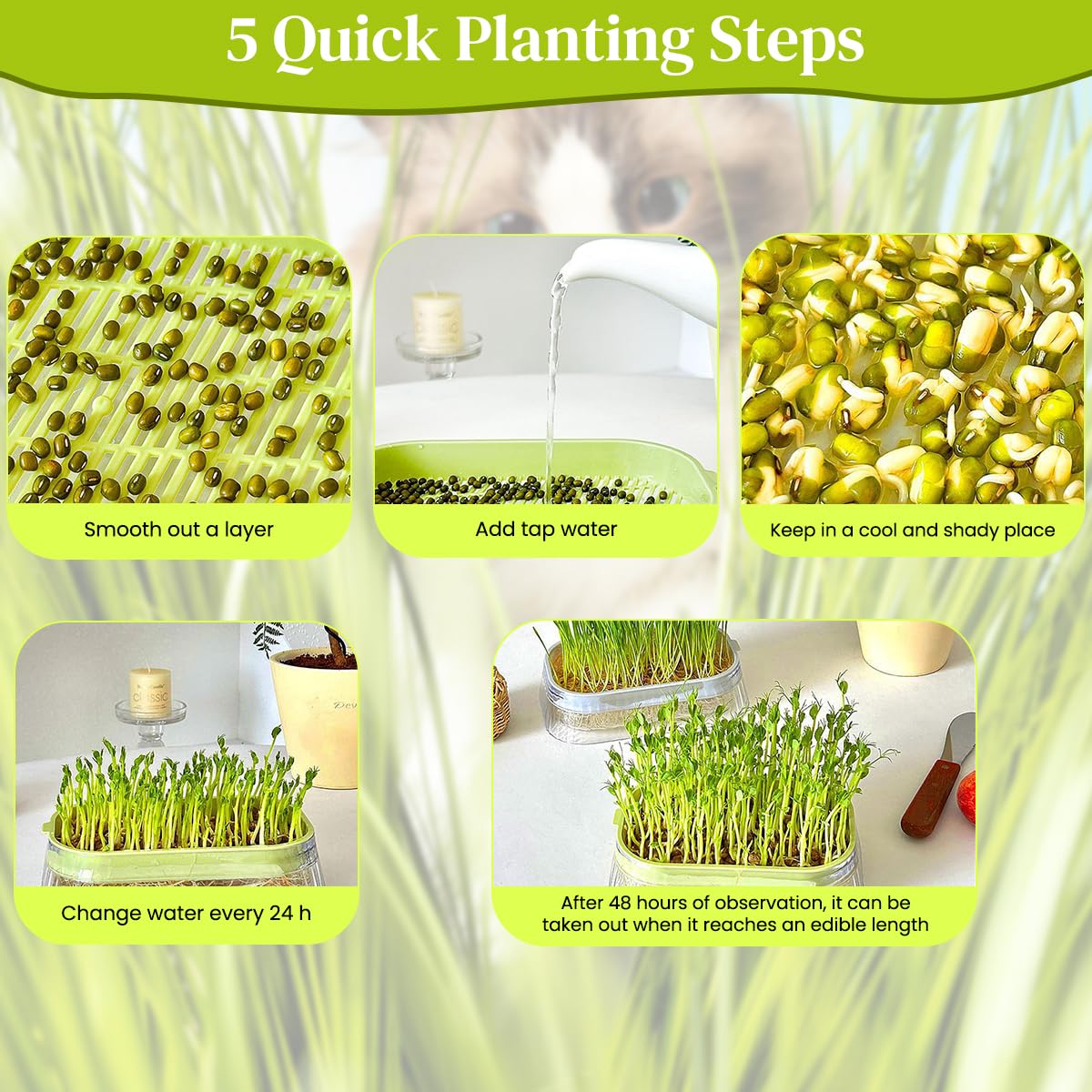HASTHIP Garden Seed Sprouter Tray for Wheatgrass and Cat Grass 19 x12.5 x5 cm with Double Layer ABS Design