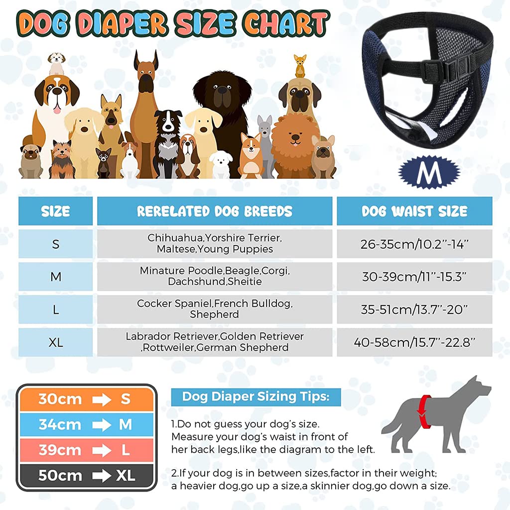 HASTHIP® Pañales Reutilizables para Perros Hembra Transpirables con 3 Almohadillas Absorbentes de Algodón,Cintura Elástica y Hebilla Rápida,Lavables y Cómodos para Cachorros Perros