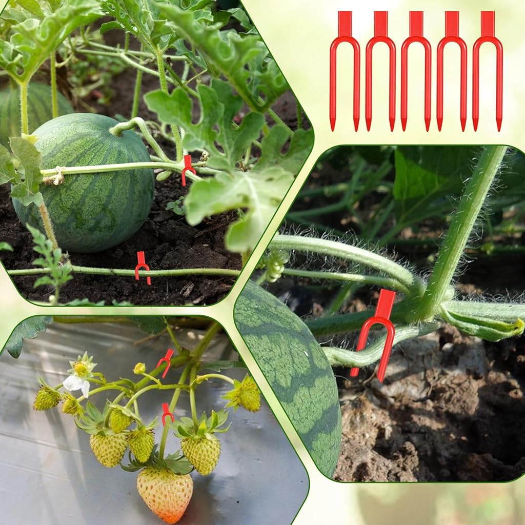 HASTHIP Plant Training Forks for Bonsai Tomato and Vine Support 100 Pcs 2 Inch Red Set