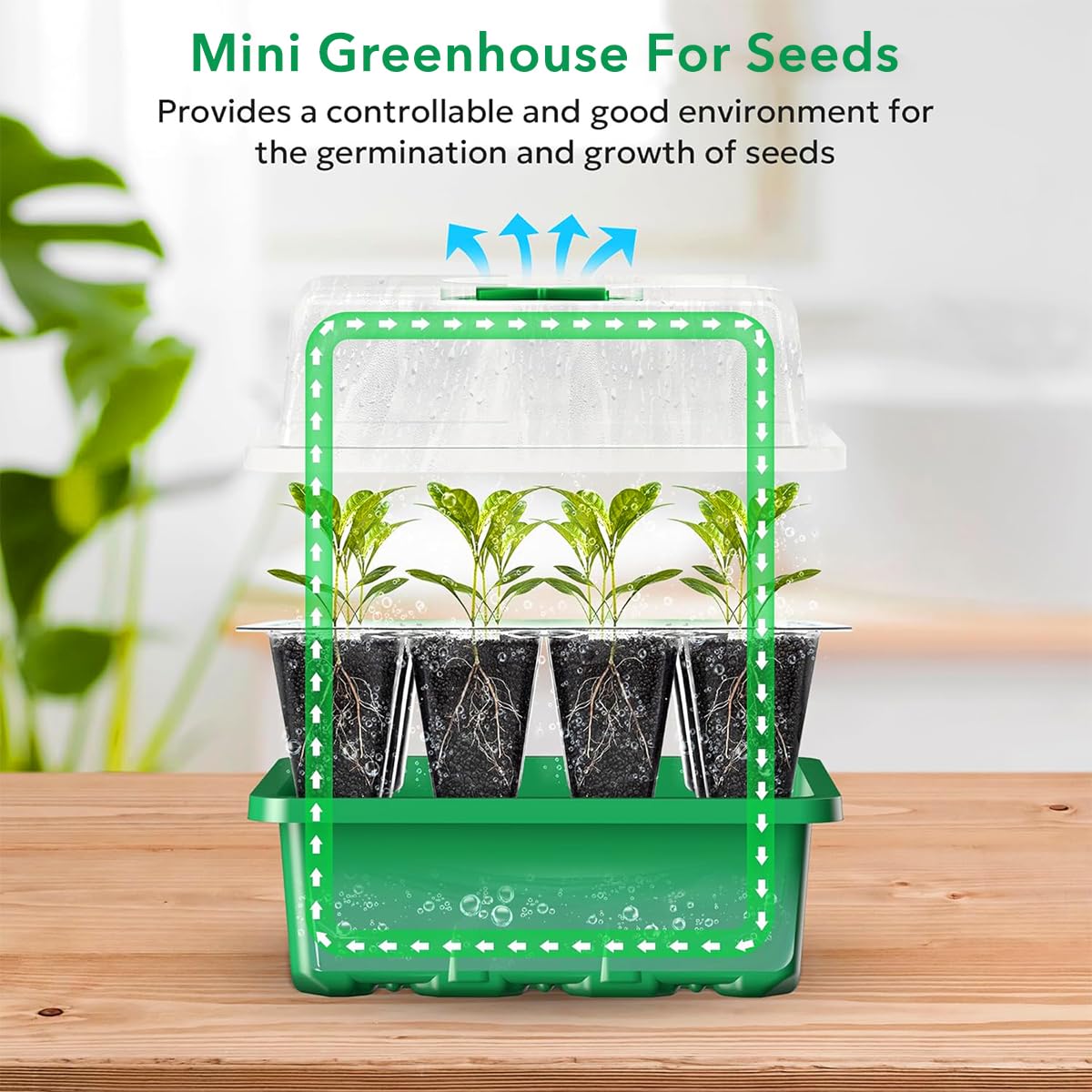 HASTHIP Plastic Seedling Germination Tray for Indoor Gardening with 12 Cell Drainage | 5Pcs Reusable Greenhouse Starter Kit