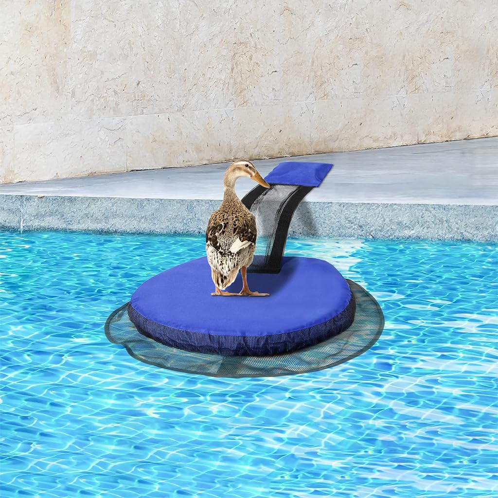 HASTHIP Animal Saving Escape Ramp for Swimming Pool with UV‑Resistant Floating Design | Eco‑Friendly Wildlife Rescue Accessory