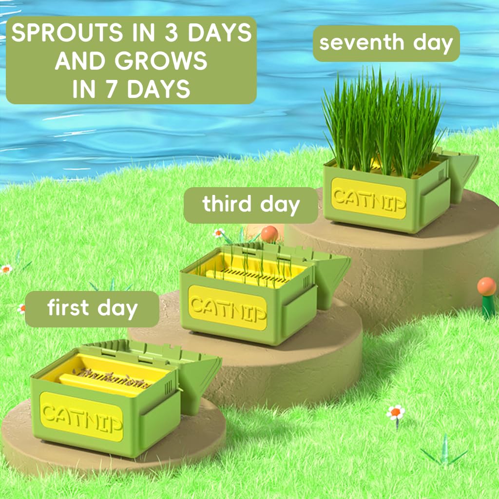 HASTHIP® Cat Grass Planter