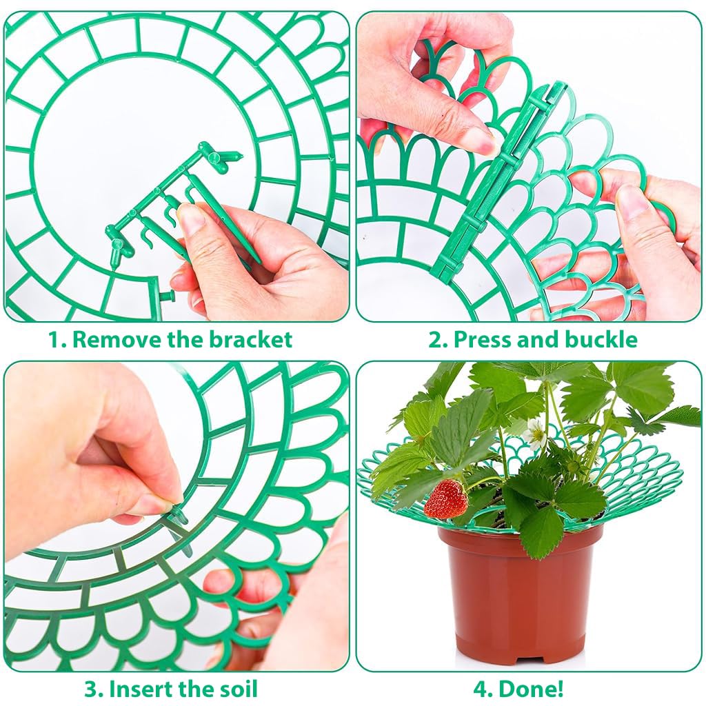 HASTHIP® Strawberry Suppoort 10.49 inches Diameter Plastic Strawberry Fruits Support Grid Support Strawberry Fruits Holder Fruits Support Rack Prevent Decay