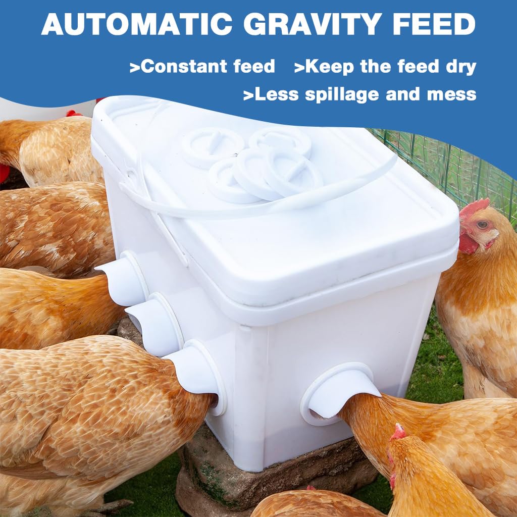 HASTHIP Chicken Feeder Kit for Poultry with 4 Ports and Automatic Waterer Cups | Food Grade DIY System