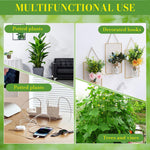 HASTHIP Plant Supports for Branch Stability with Flexible Frog Twist Ties 3 pcs | Green Cartoon Design