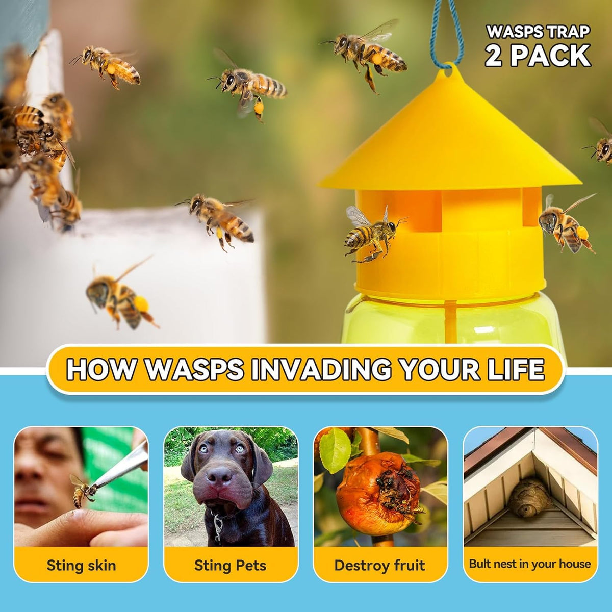 HASTHIP Fruit Fly Trap for Outdoor Use with 4 Entry Design | 2 Pcs Reusable Wasp Catcher