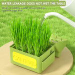 HASTHIP® Cat Grass Planter