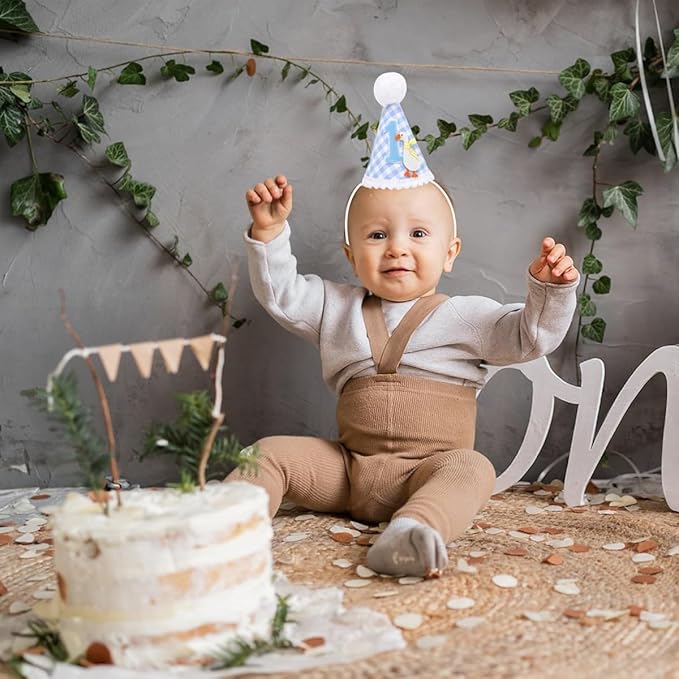 HASTHIP® One Funny Goose birthday hat cotton plush birthday cap with soft pom pom charm design adjustable crowns for girls small caps for soft s baby crown girls 1 year gift