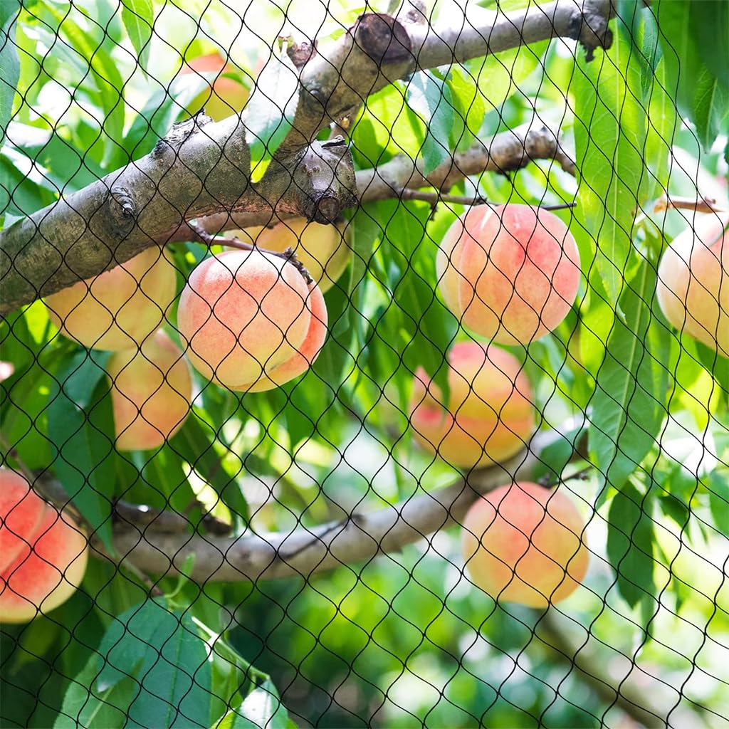 HASTHIP Bird Netting for Garden Protection featuring 13x16 ft UV‑Resistant PE Mesh | Easy Trim‑to‑Fit Coverage