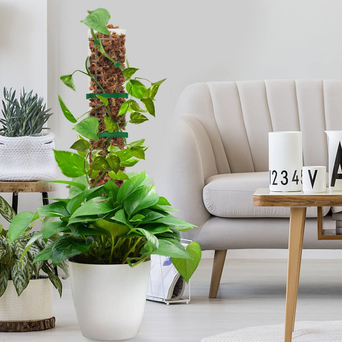 HASTHIP Plastic Moss Pole for Monstera and Pothos Climbing 23.62 in | Hollow Upright Design