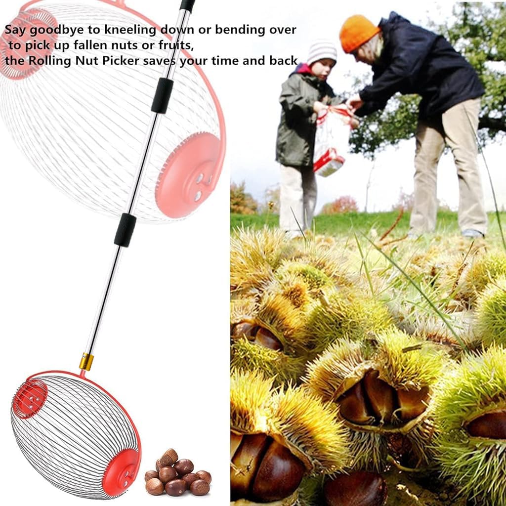 128cm Nut Collector, Fruit Picker for Walnuts, Fruits, Golfball, Tennis Ball, Telescopic Pole Labor Saving Rolling Gatherer Tool