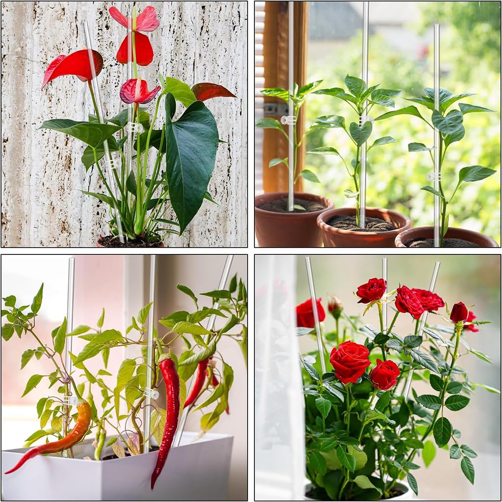 HASTHIP Plant Support Sticks for Pots and Planters with 10 Claw Clips 15.75 in Clear Acrylic | Upright Growth