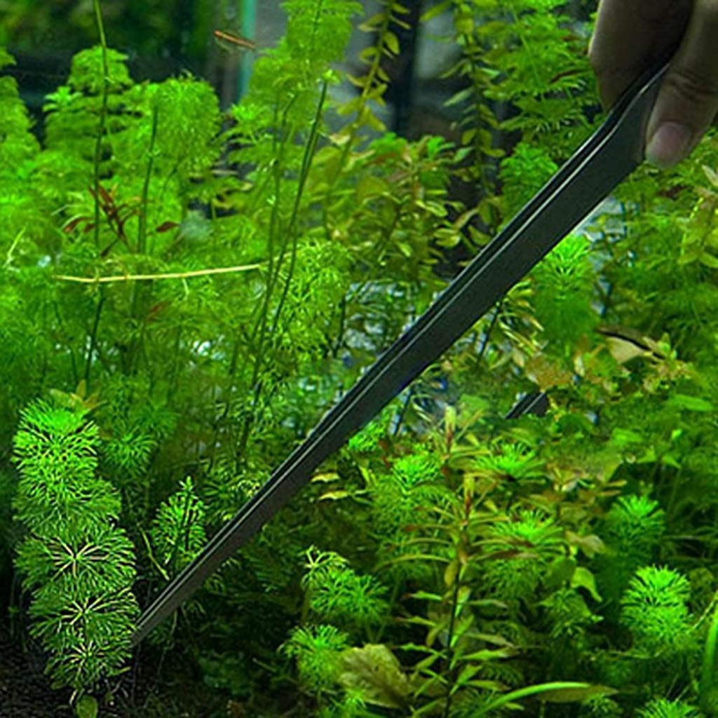 Tweezers for Aquarium, Universal Plant Shrimp Reef Tank Straight Aquarium Accessories Tweezer for Fish Tank Aquarium Live Plant (27cm Curved Tweezers)