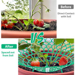 HASTHIP® Strawberry Suppoort 10.49 inches Diameter Plastic Strawberry Fruits Support Grid Support Strawberry Fruits Holder Fruits Support Rack Prevent Decay