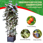 HASTHIP Plant Stand Support for Climbing Plants with 114cm Trellis | UV‑Resistant PP Planter Box